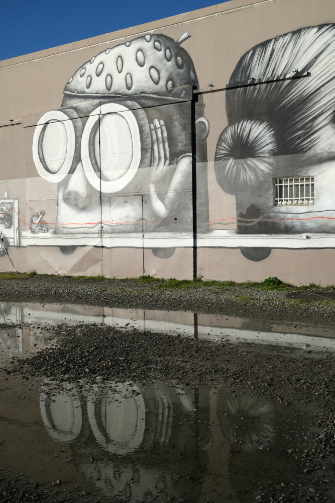 graffitis et leur reflet dans une flaque