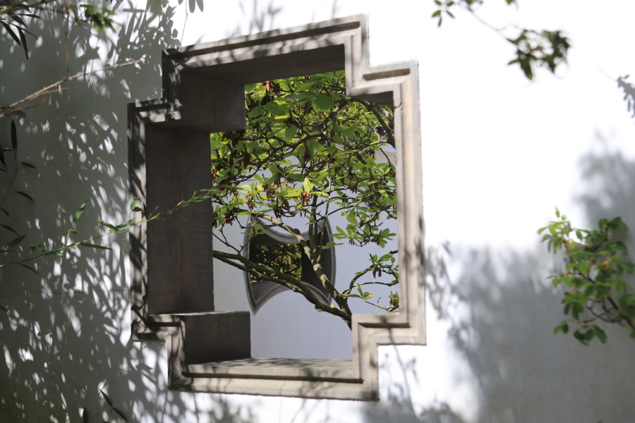 érable et ouverture dans une ouverture, photo Catherine Gras