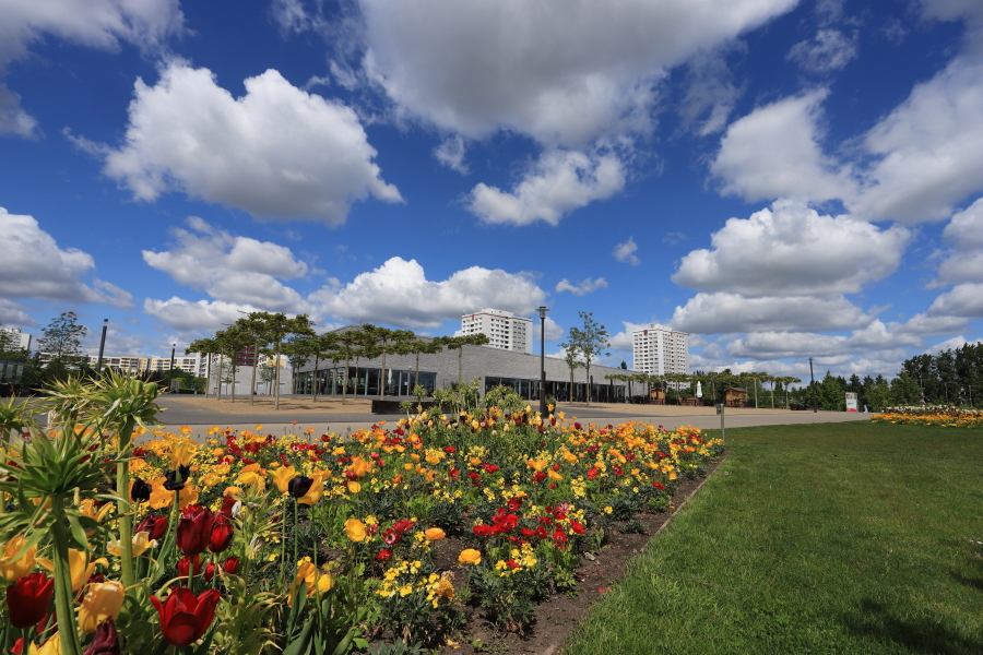 fleurs, nuages et bâtiments au grand angle, photo Catherine Gras