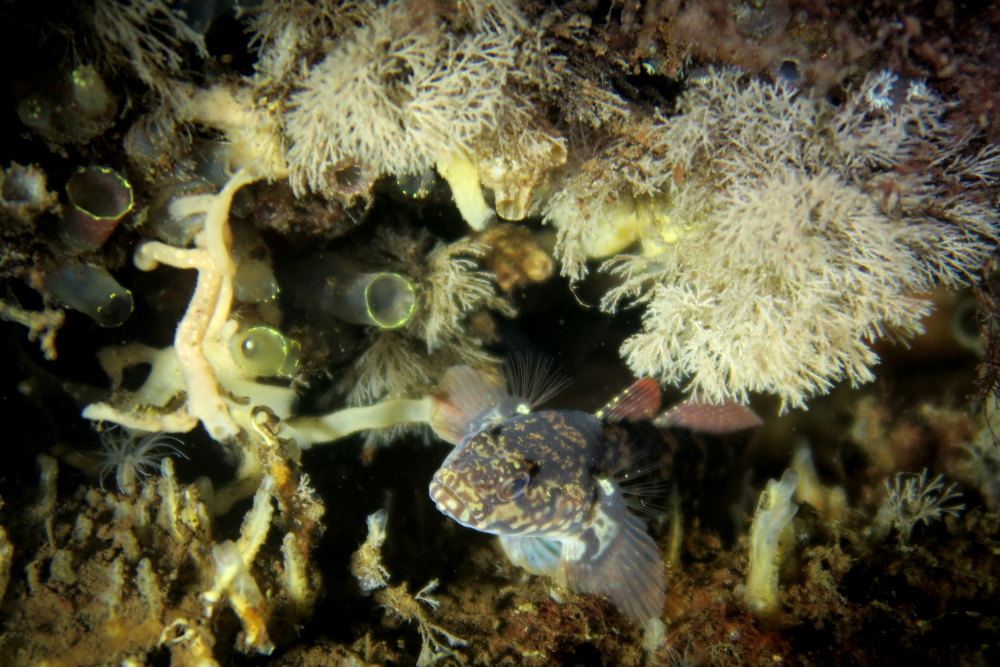 photo Catherine Gras