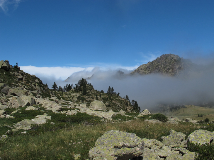 photo Catherine Gras