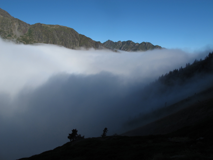 photo Catherine Gras