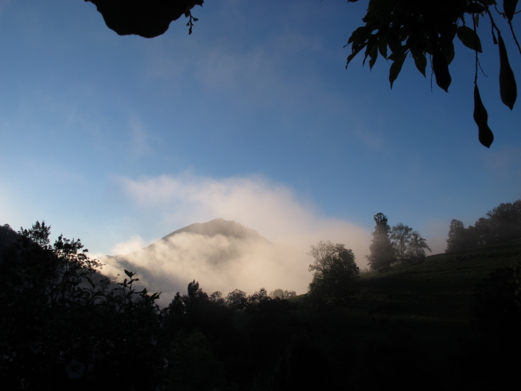 photo Catherine Gras