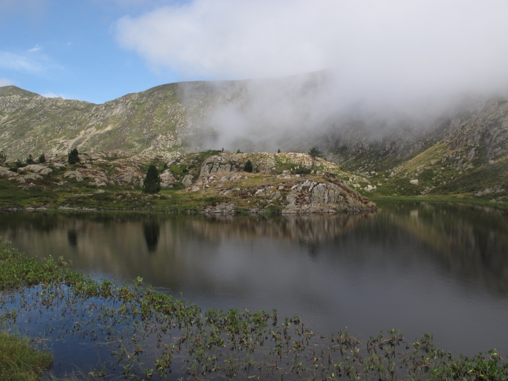 photo Catherine Gras