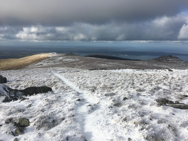 Photo Catherine Gras