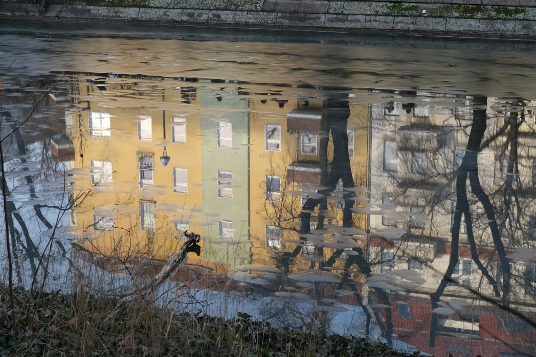 Photo Catherine Gras