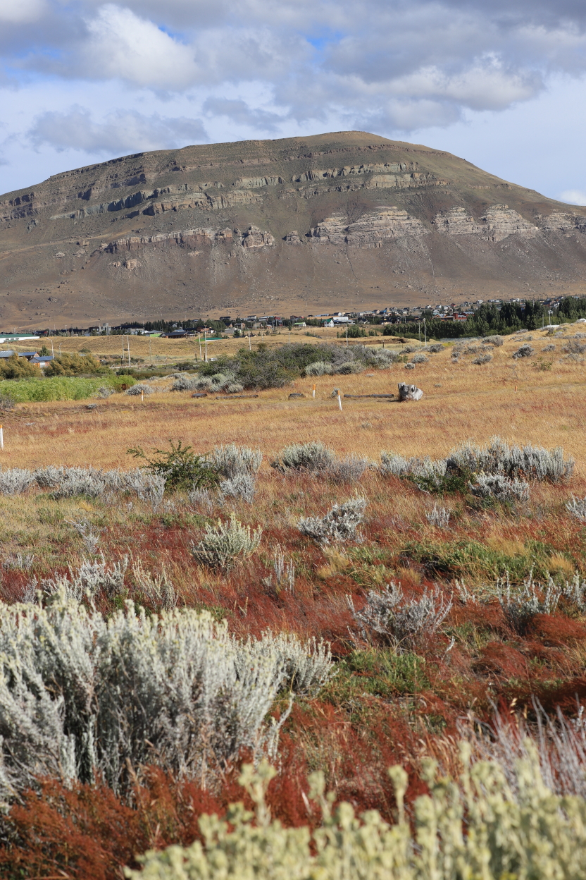 Photo Catherine Gras