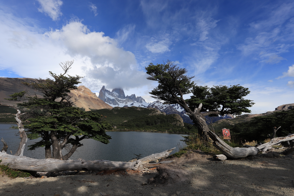 Photo Catherine Gras