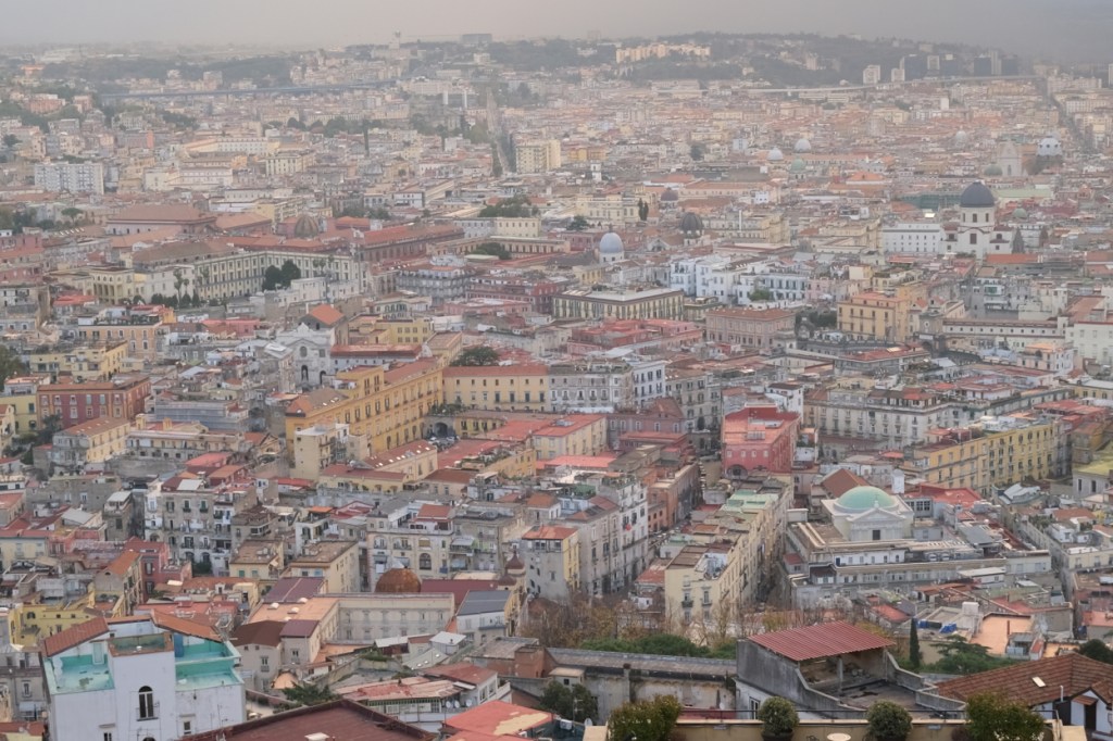 photo Catherine Gras