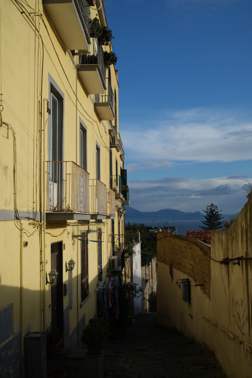 photo Catherine Gras