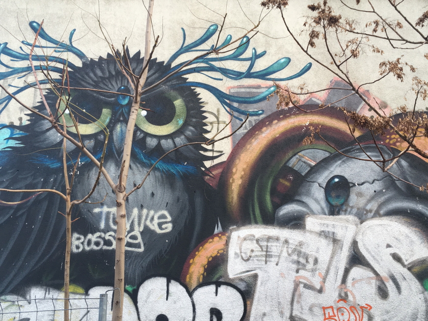 Photo Catherine Gras