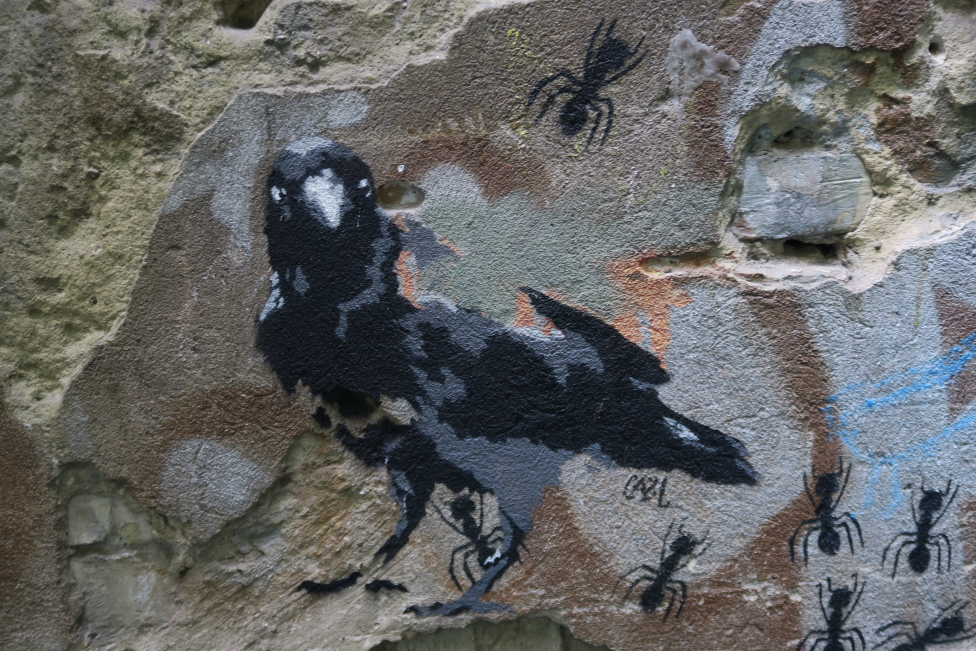 Photo Catherine Gras