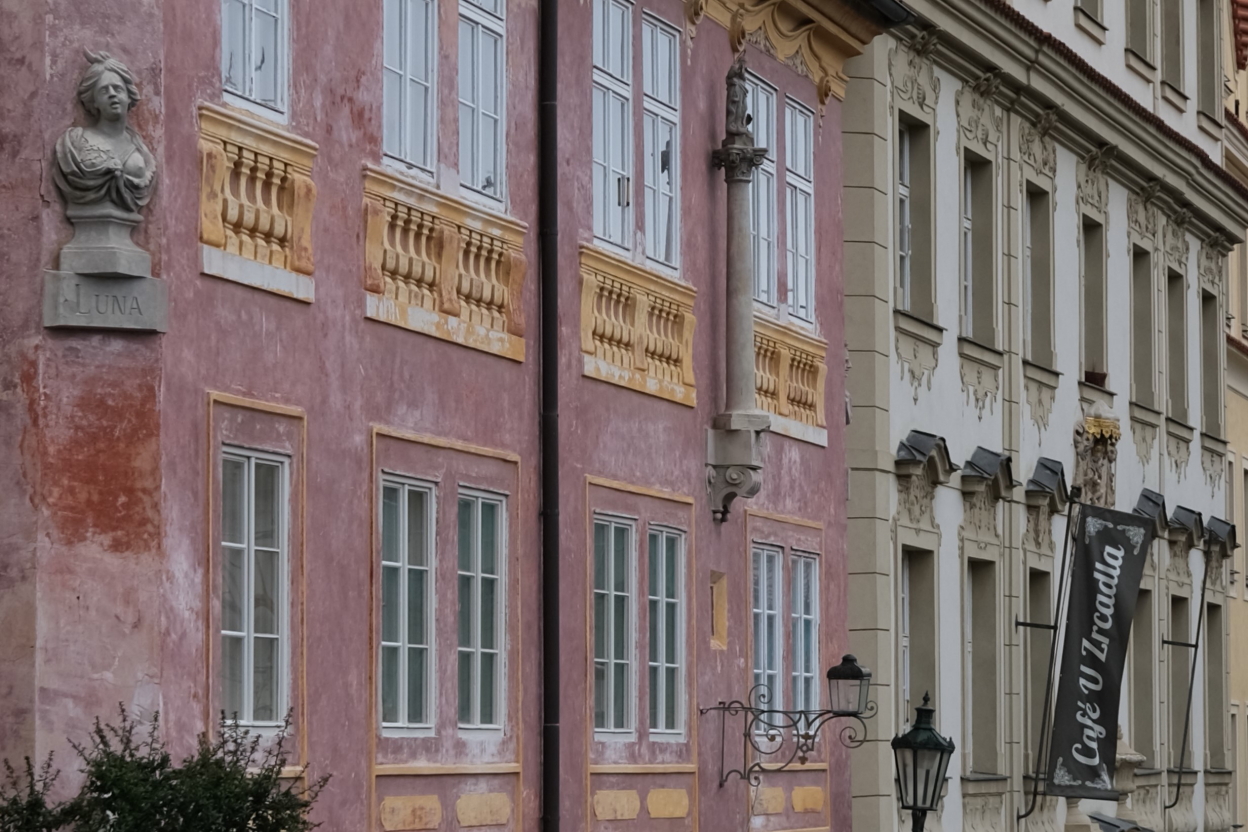 Photo Catherine Gras