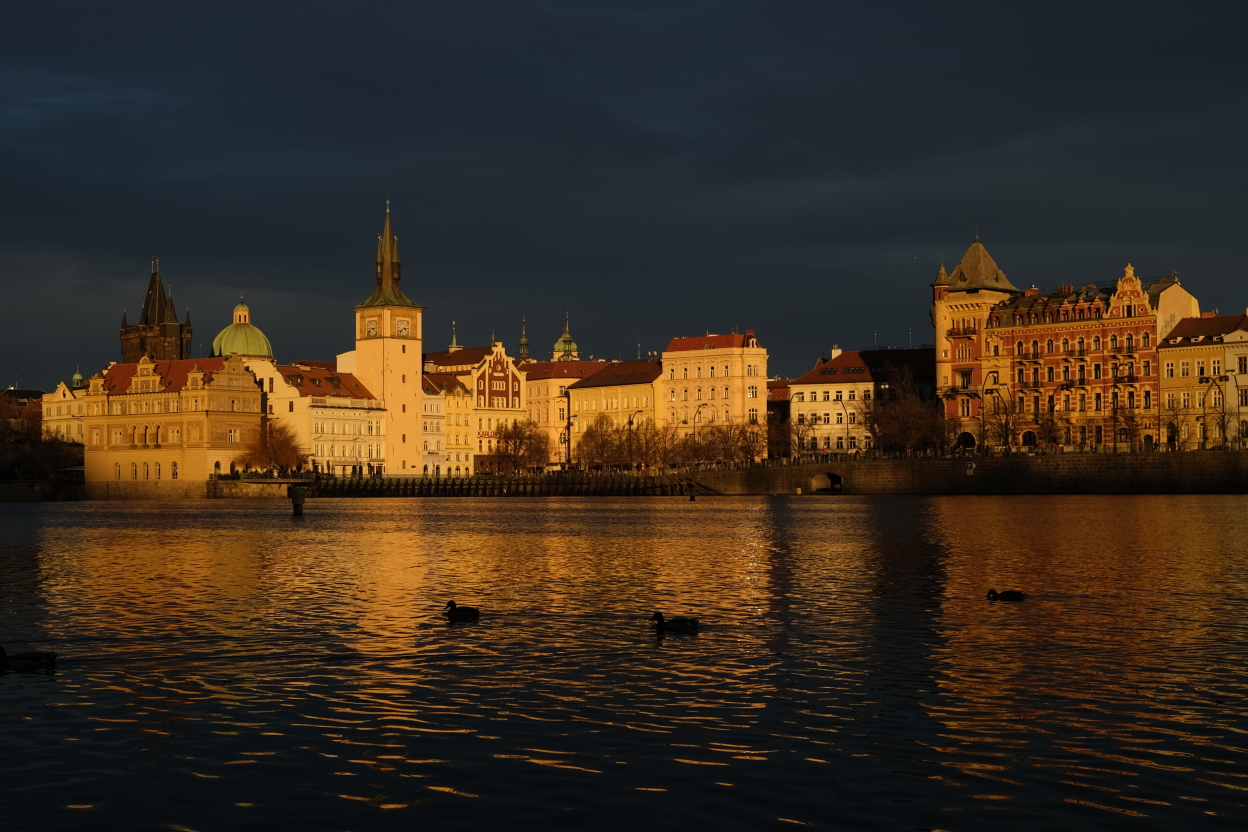 Photo Catherine Gras