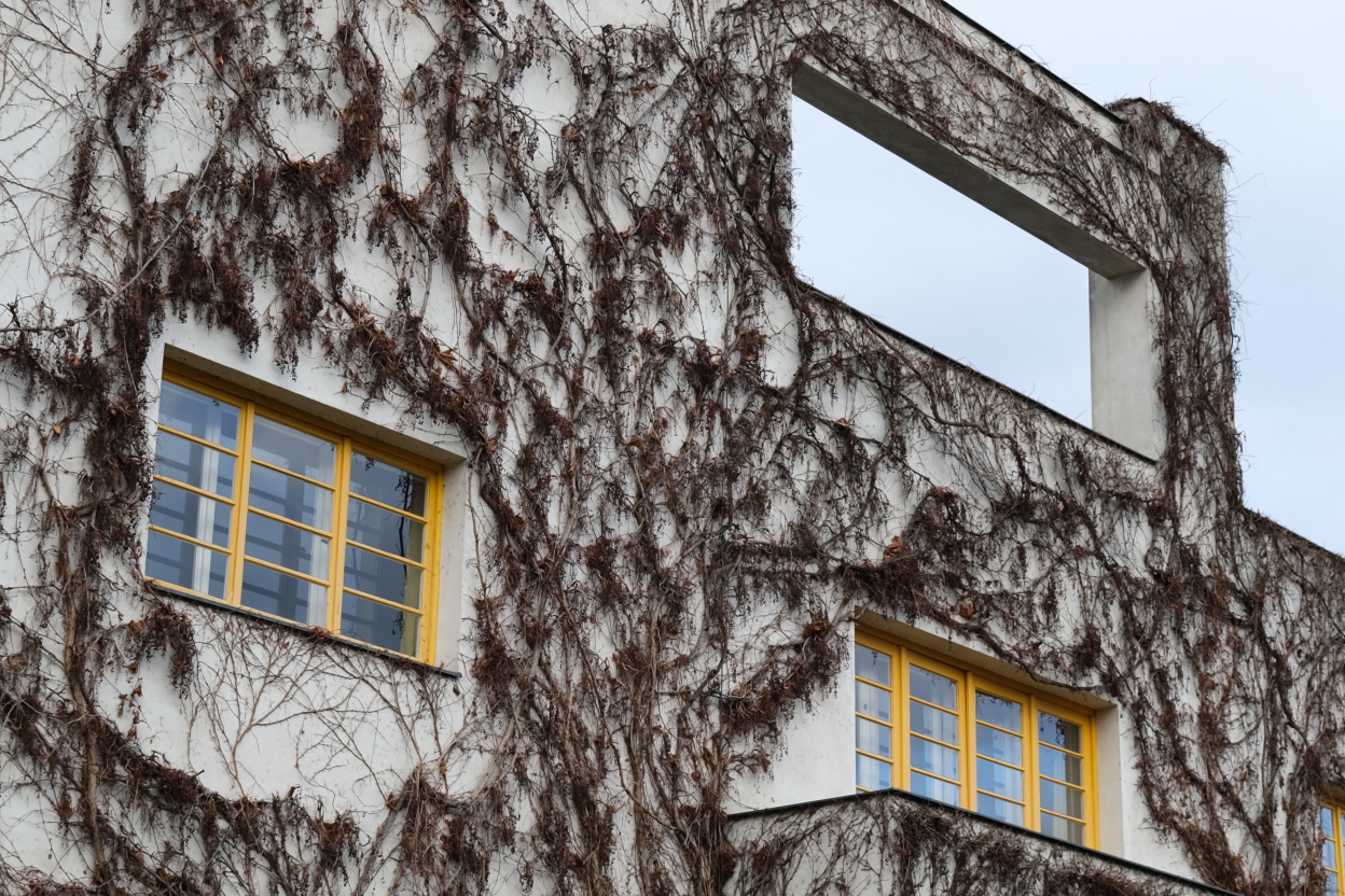 Photo Catherine Gras