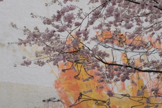 Photo Catherine Gras