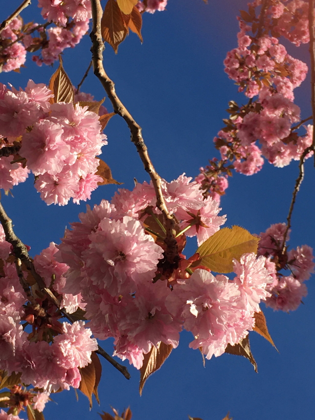 Photo Catherine Gras