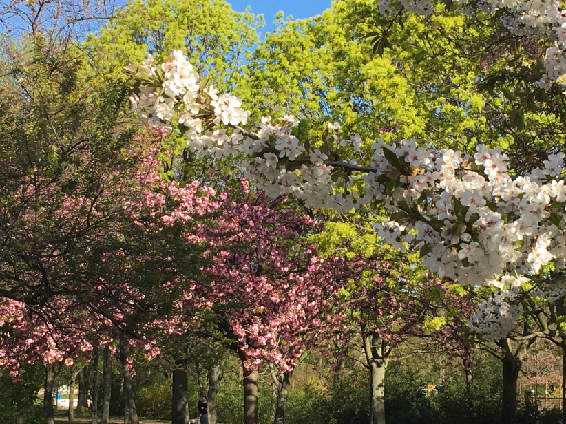 Photo Catherine Gras