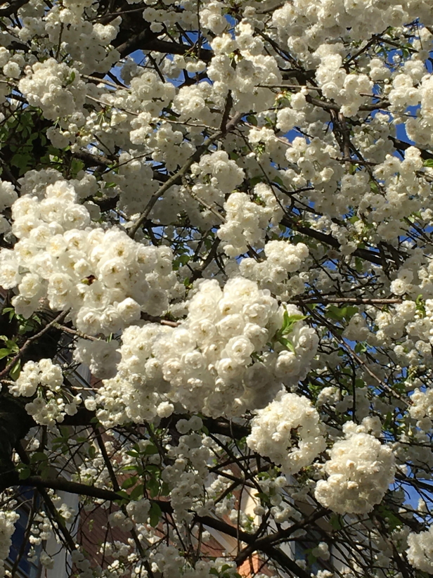 Photo Catherine Gras