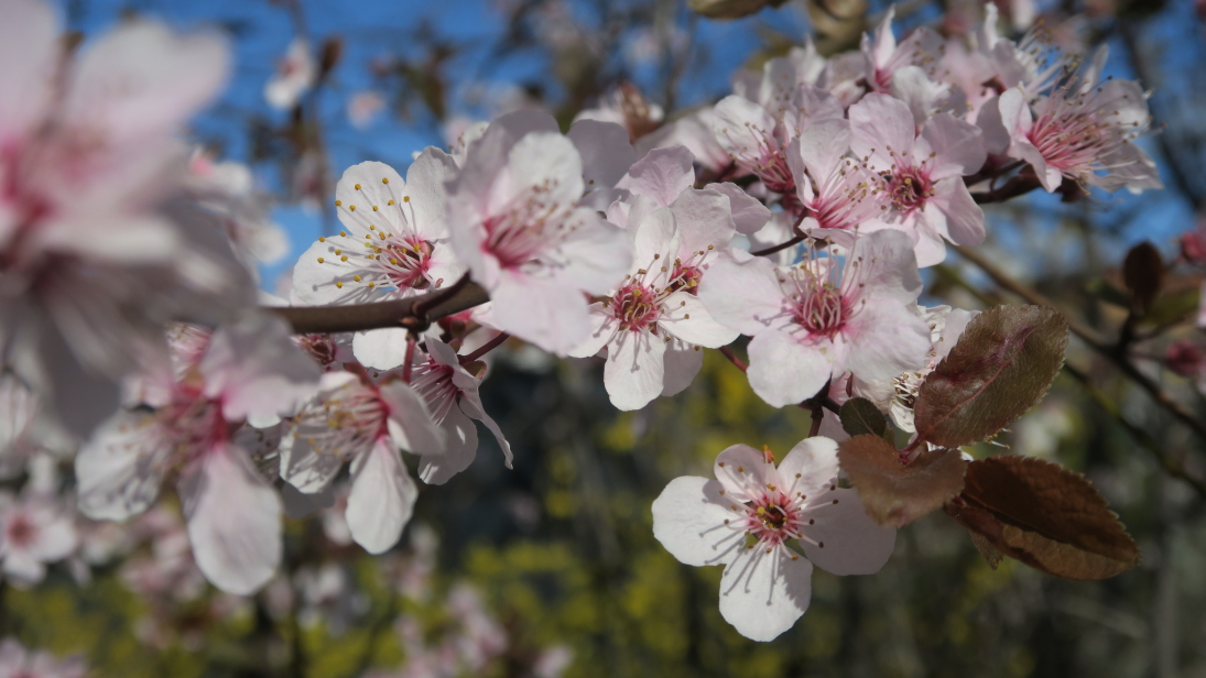 Photo Catherine Gras