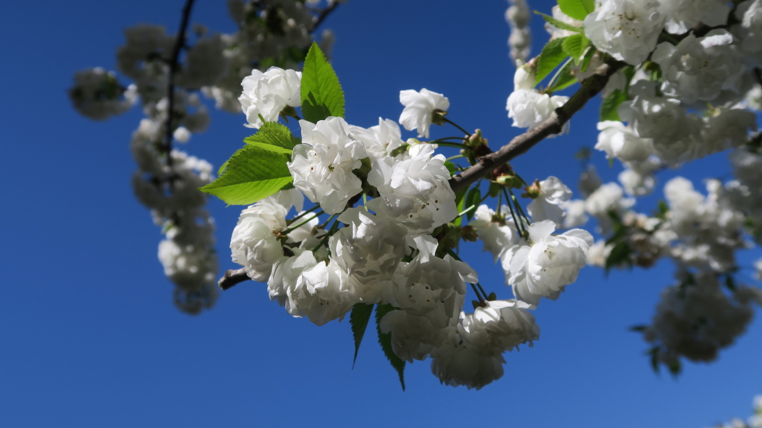 Photo Catherine Gras