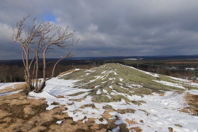 Photo Catherine Gras