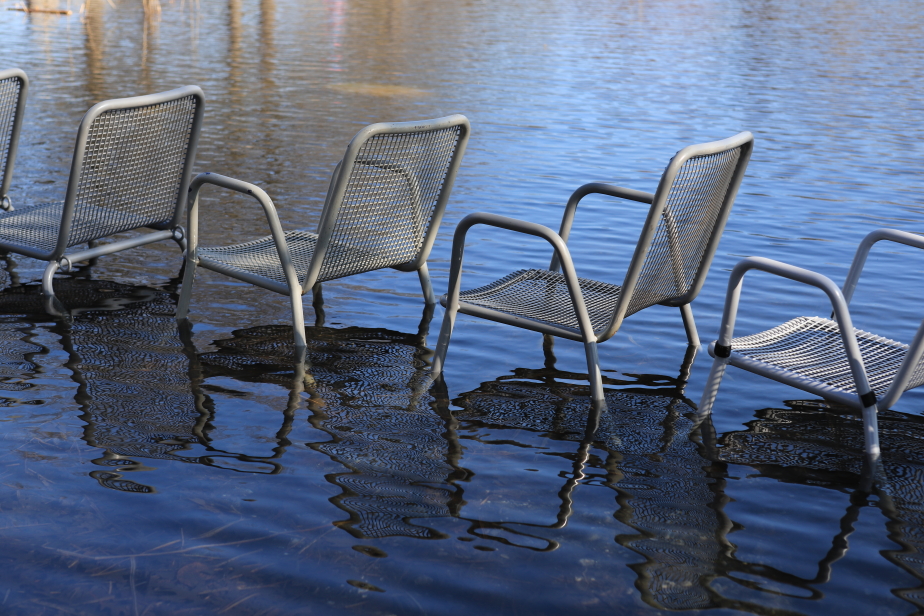 Photo Catherine Gras