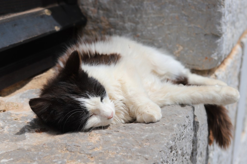 Photo Catherine Gras