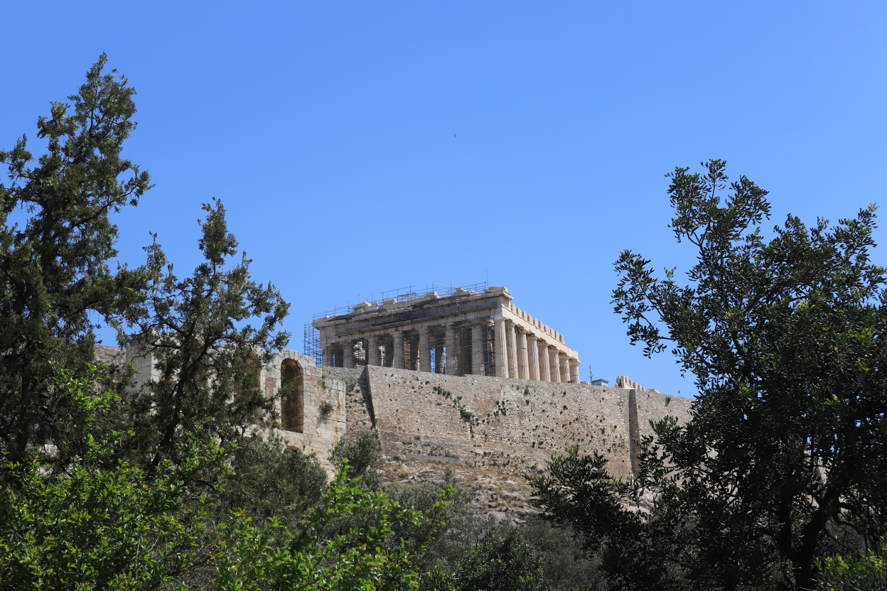 Photo Catherine Gras