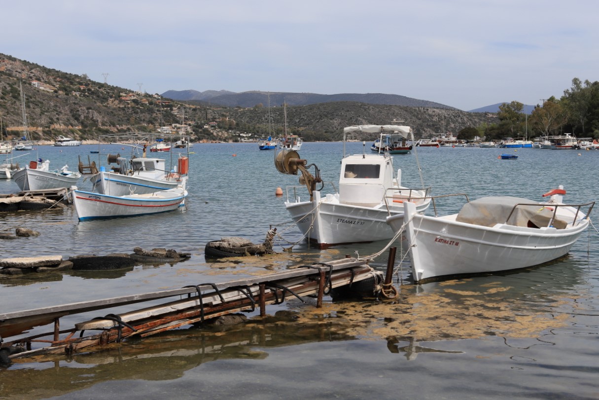 Photo Catherine Gras