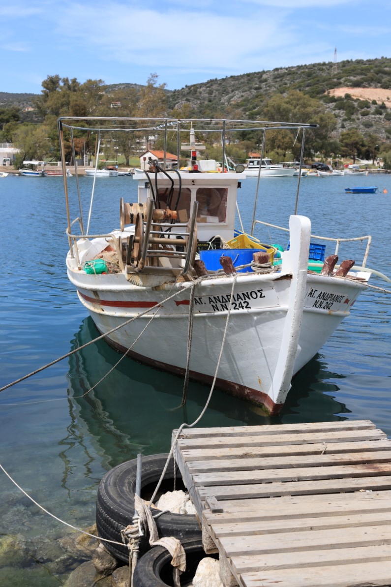 Photo Catherine Gras