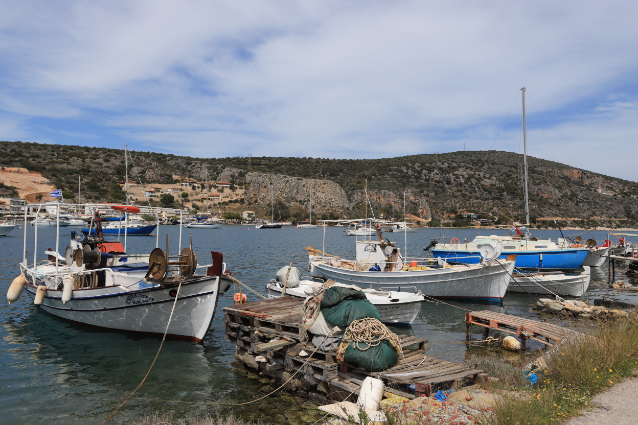 Photo Catherine Gras