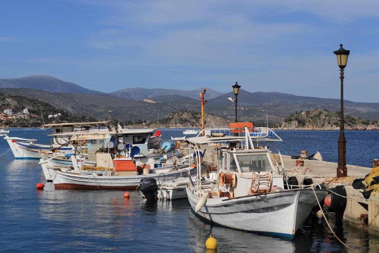 Photo Catherine Gras