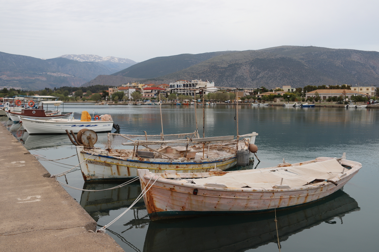 Photo Catherine Gras