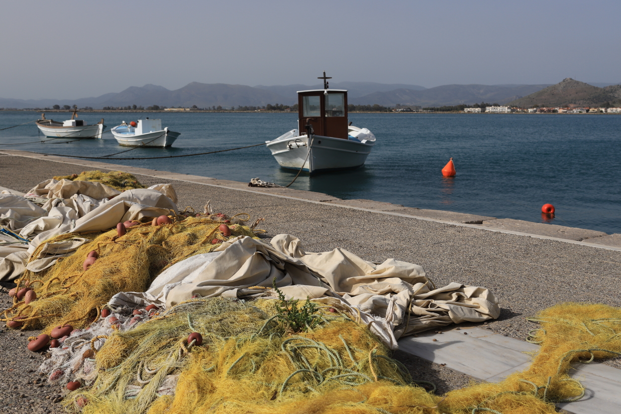 Photo Catherine Gras