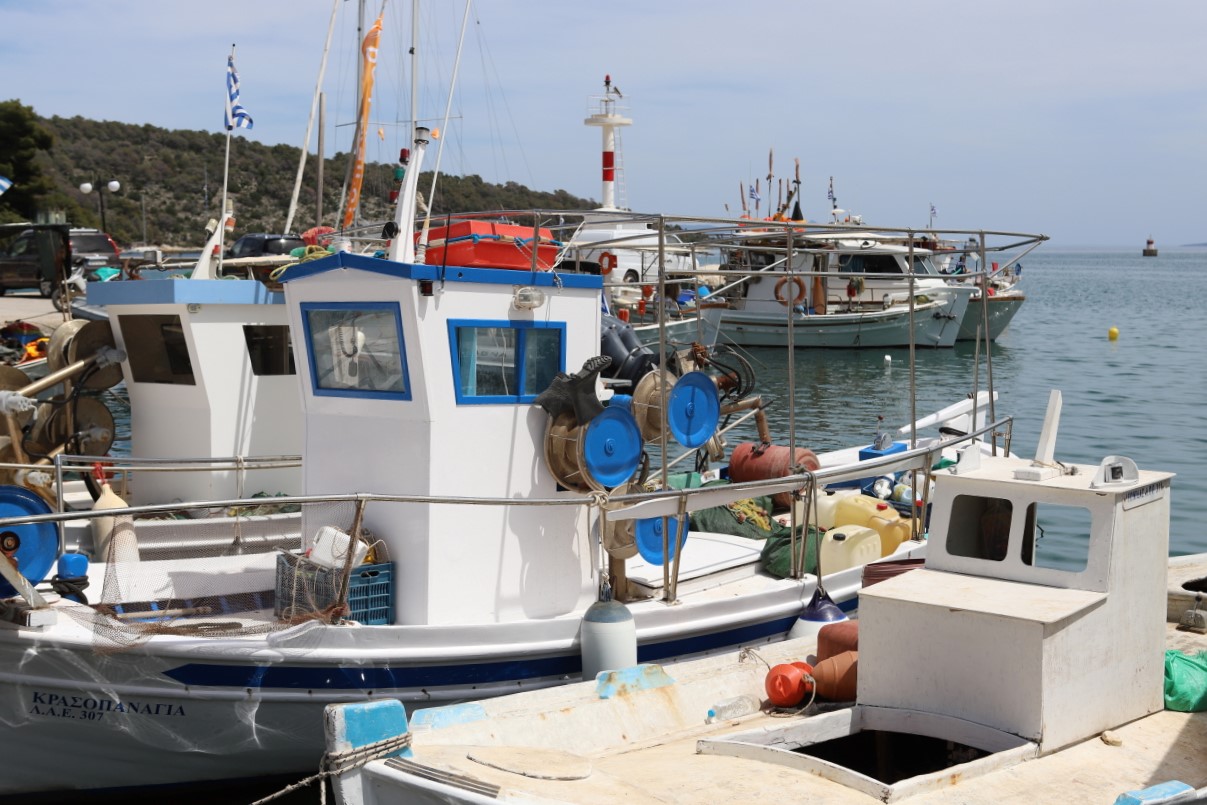 Photo Catherine Gras