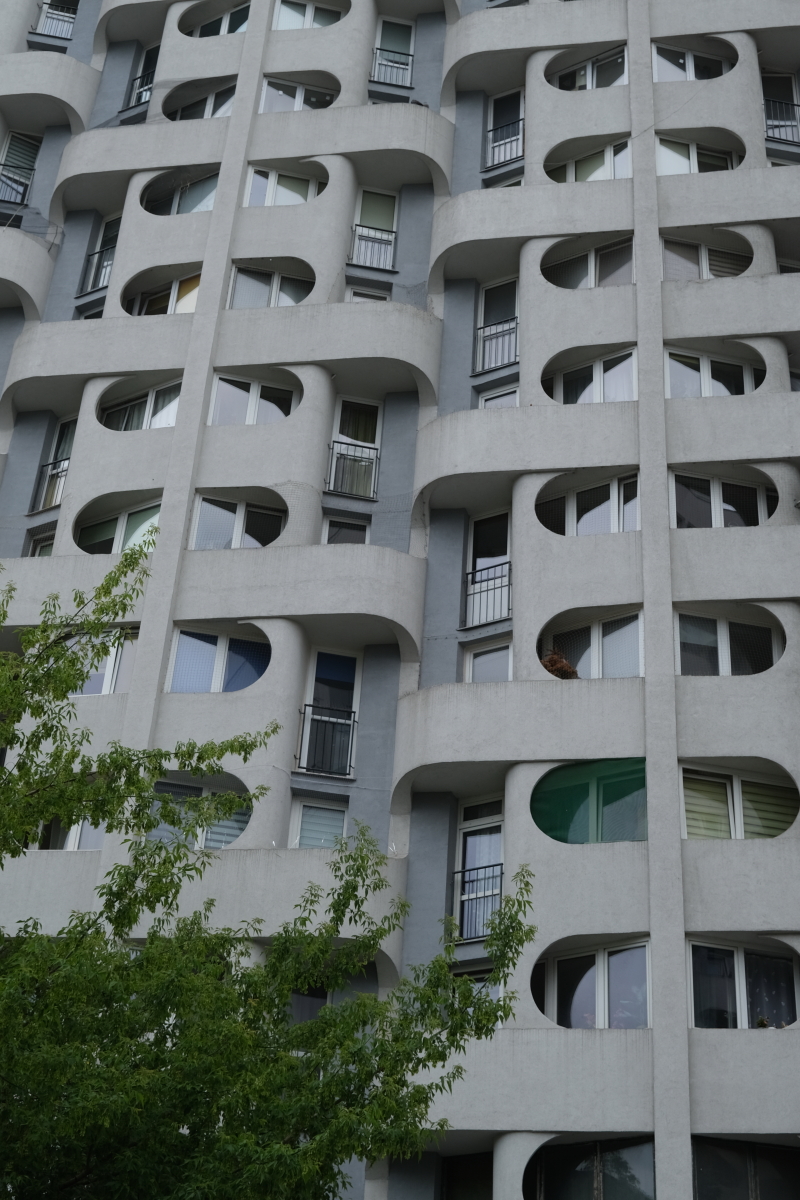 Photo Catherine Gras