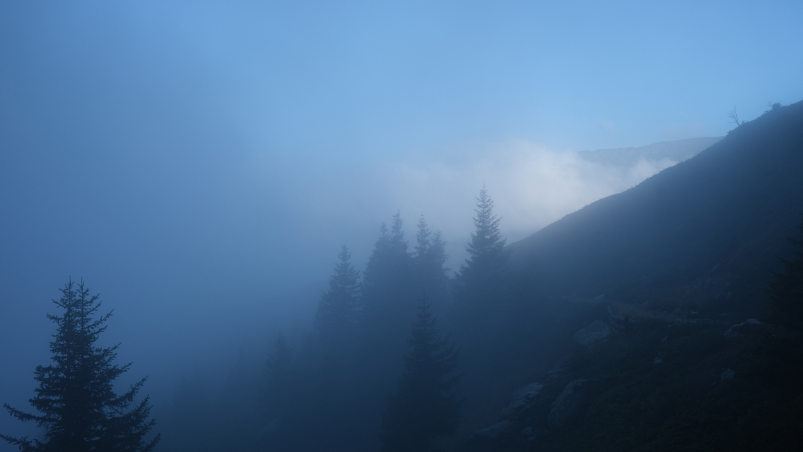 Photo Catherine Gras