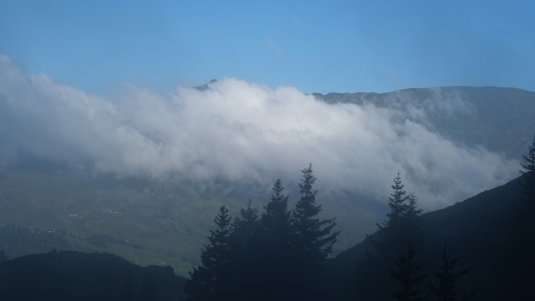 Photo Catherine Gras