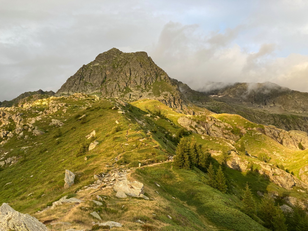 Photo Catherine Gras