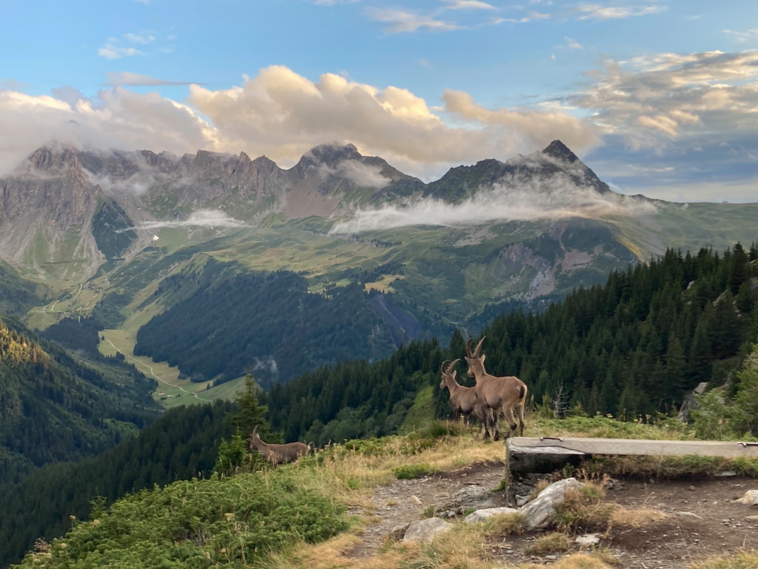 Photo Catherine Gras