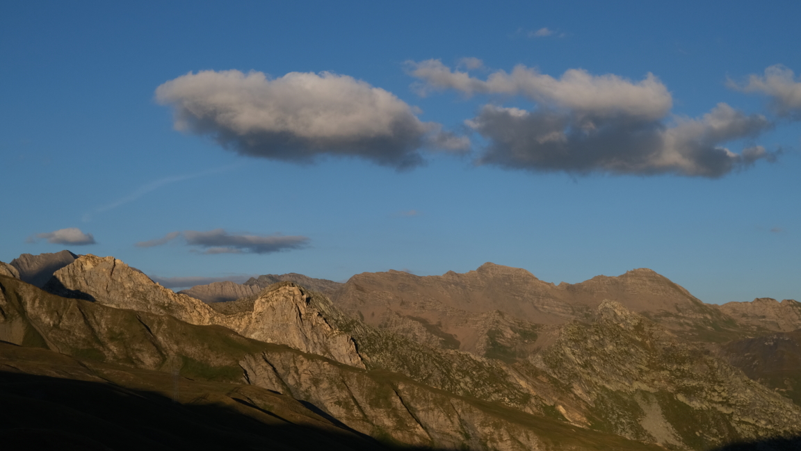 Photo Catherine Gras