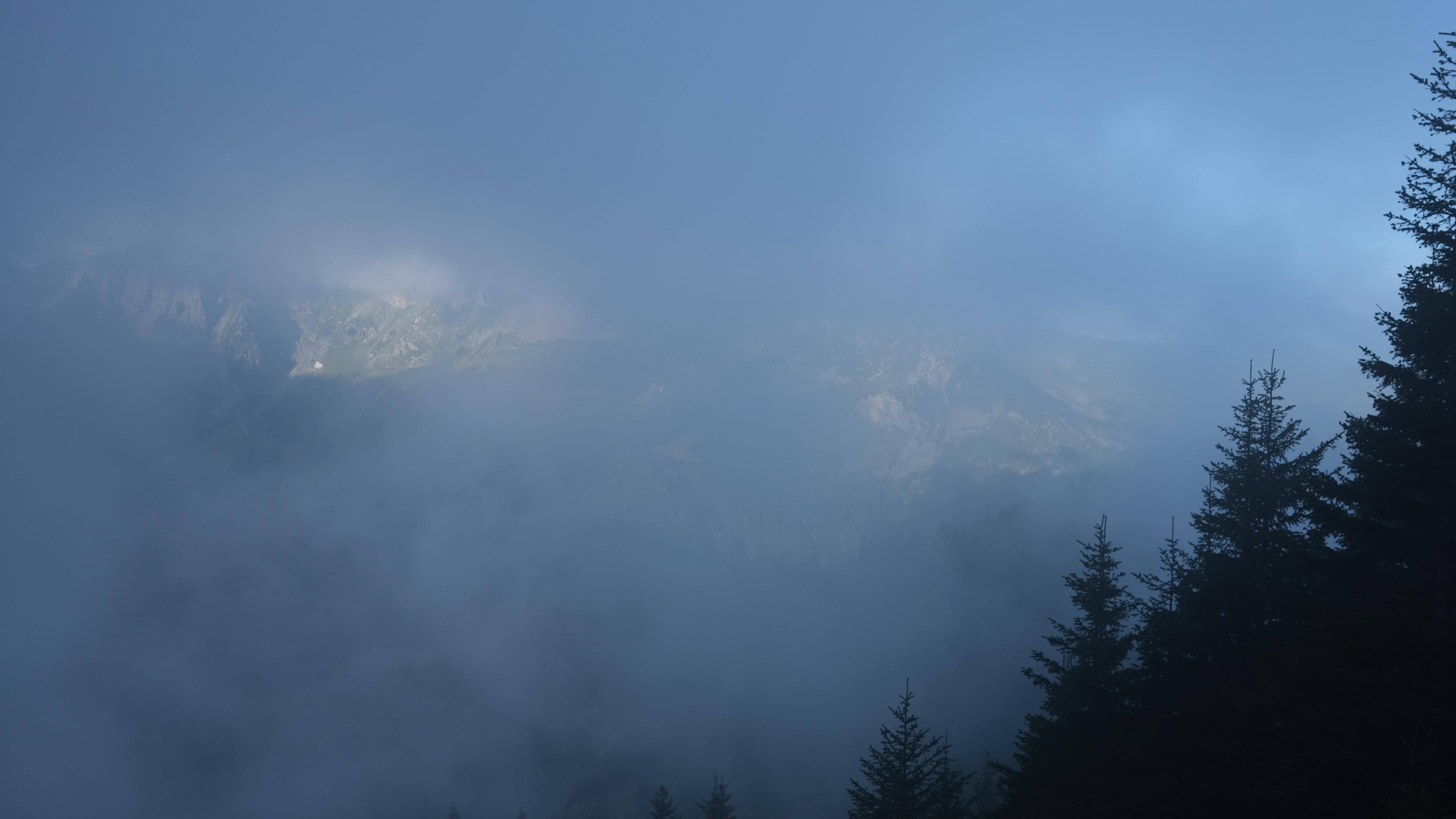 Photo Catherine Gras