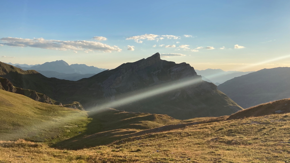 Photo Catherine Gras