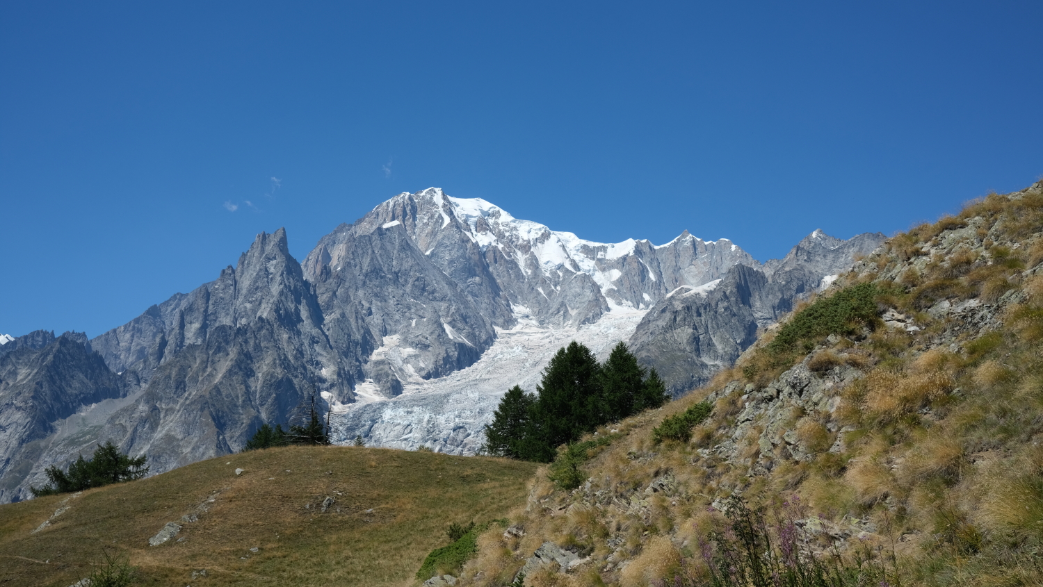 Photo Catherine Gras