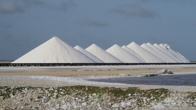 Photo Catherine Gras