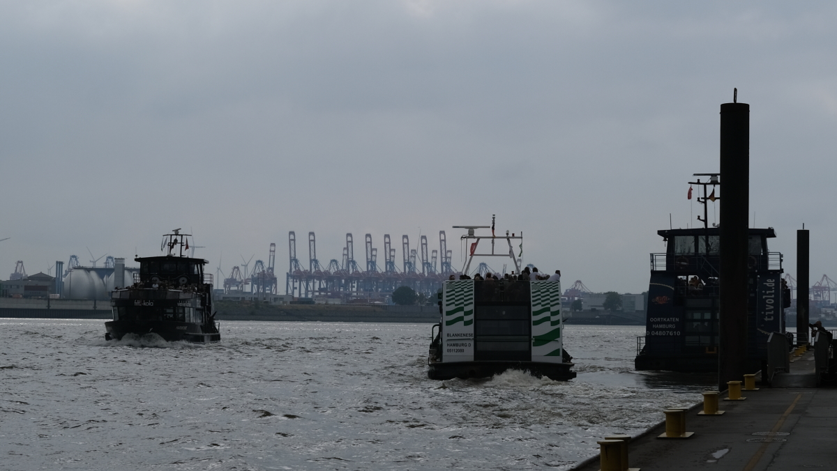 Photo Catherine Gras