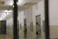 Photo Catherine Gras