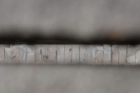 Photo Catherine Gras