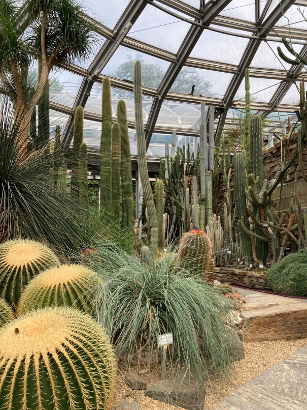 Photo Catherine Gras